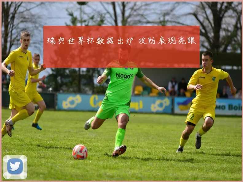 瑞典世界杯数据出炉 攻防表现亮眼