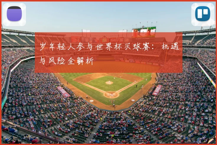 岁年轻人参与世界杯买球赛：机遇与风险全解析