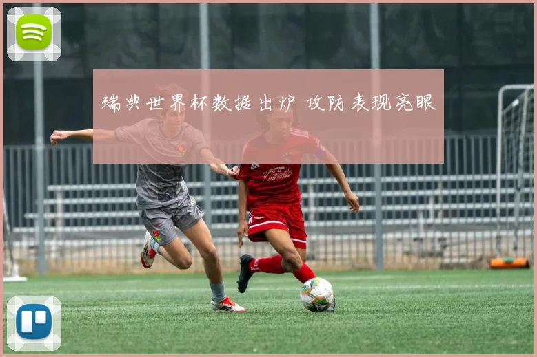 瑞典世界杯数据出炉 攻防表现亮眼