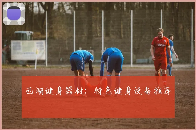 西湖健身器材:特色健身设备推荐