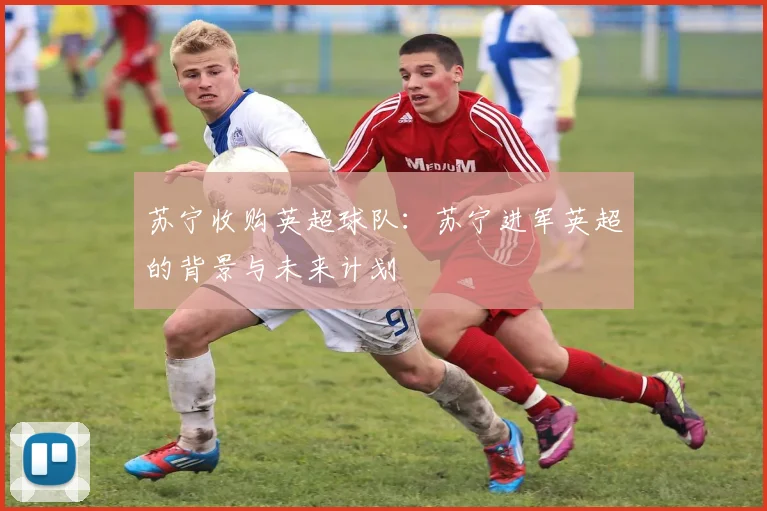 苏宁收购英超球队：苏宁进军英超的背景与未来计划
