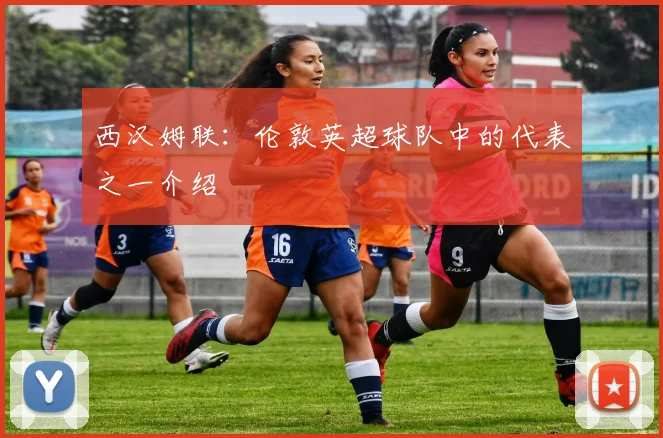 西汉姆联:伦敦英超球队中的代表之一介绍