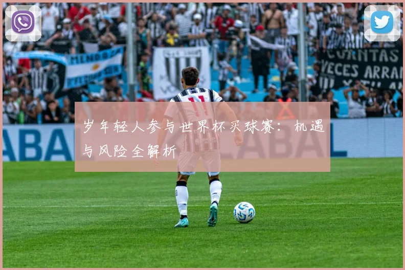 岁年轻人参与世界杯买球赛:机遇与风险全解析