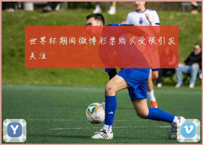 世界杯期间微博彩票购买受限引发关注