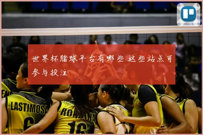 世界杯赌球平台有哪些 这些站点可参与投注
