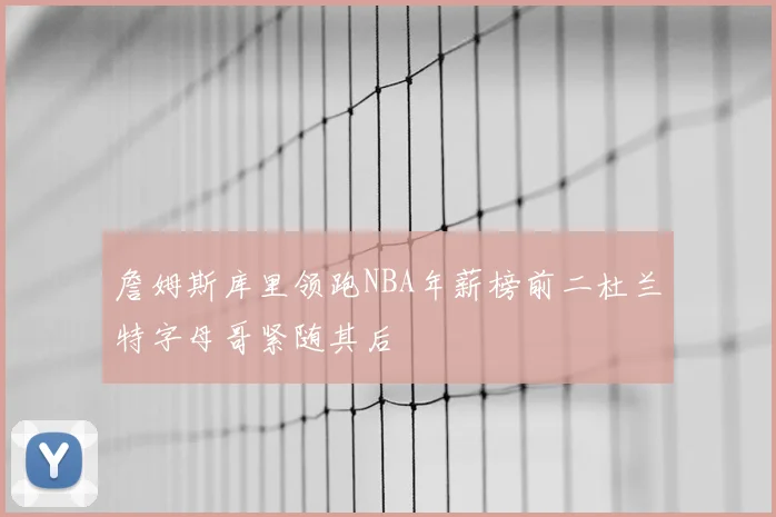 詹姆斯库里领跑NBA年薪榜前二杜兰特字母哥紧随其后