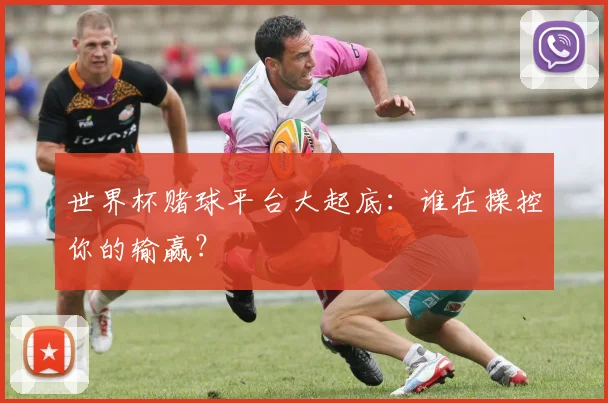 世界杯赌球平台大起底：谁在操控你的输赢？