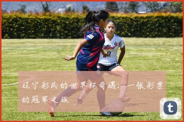 辽宁彩民的世界杯奇遇:一张彩票的冠军之旅