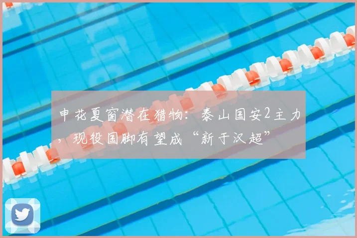 申花夏窗潜在猎物：泰山国安2主力，现役国脚有望成“新于汉超”