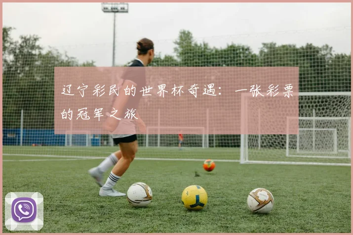 辽宁彩民的世界杯奇遇：一张彩票的冠军之旅